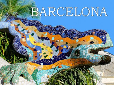 Barcelona Tour Other